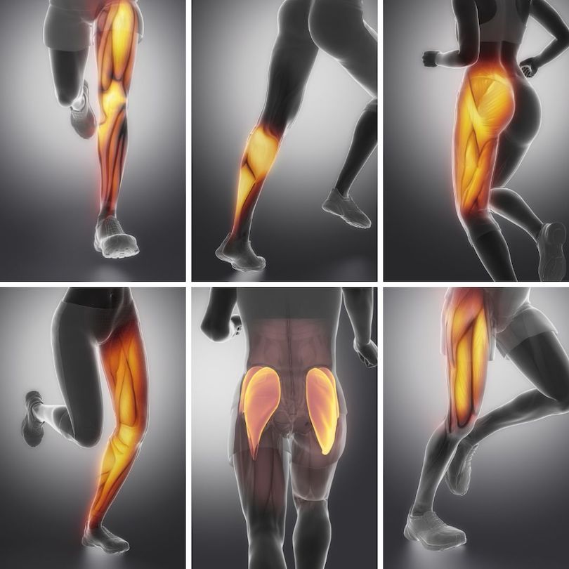 Legger, lår og sete